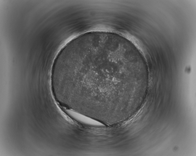 X0000099291237200805161317