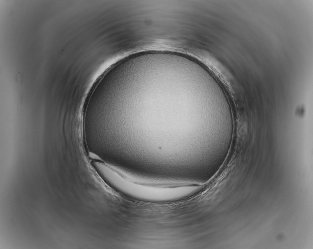 X0000099291238200805161317