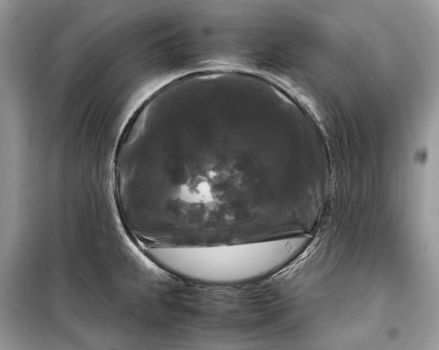 X0000099291239200805161317