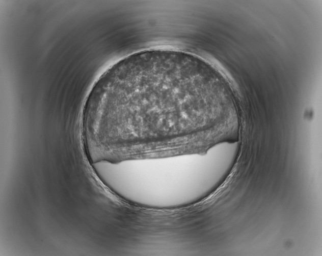 X0000099291240200805161318