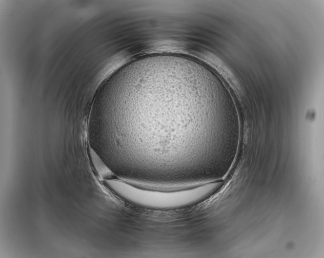 X0000099291241200805161318