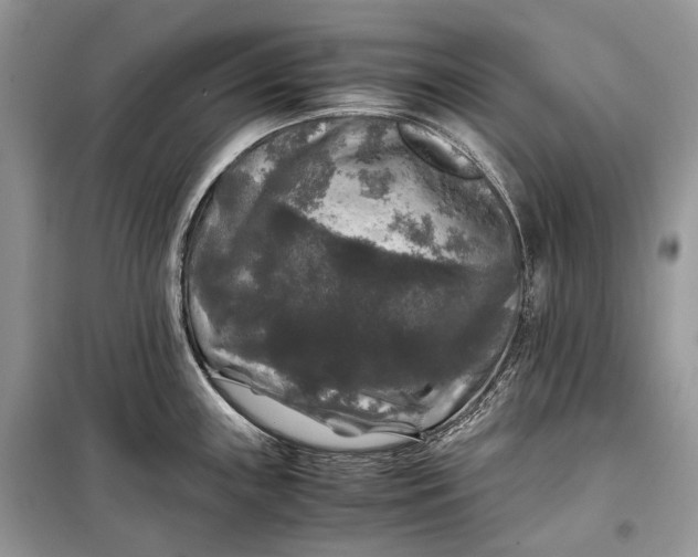 X0000099291243200805161318