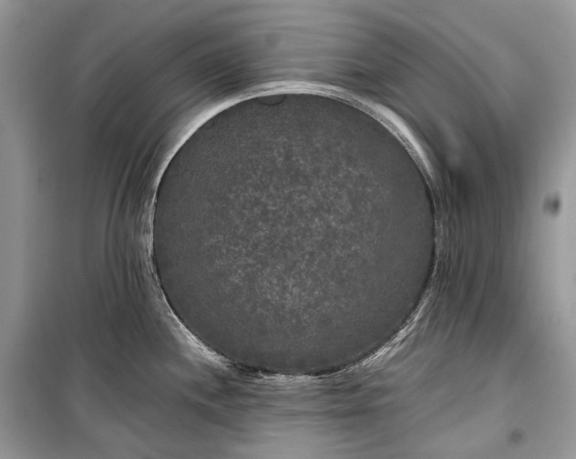 X0000099291244200805161318