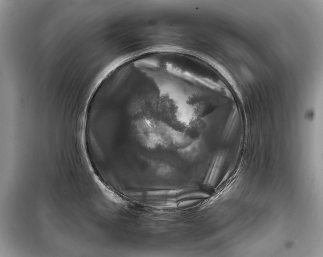 X0000099291245200805161318