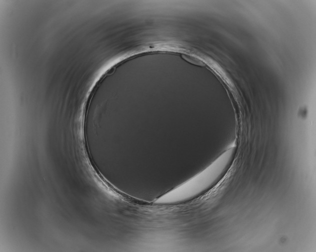 X0000099291246200805161318