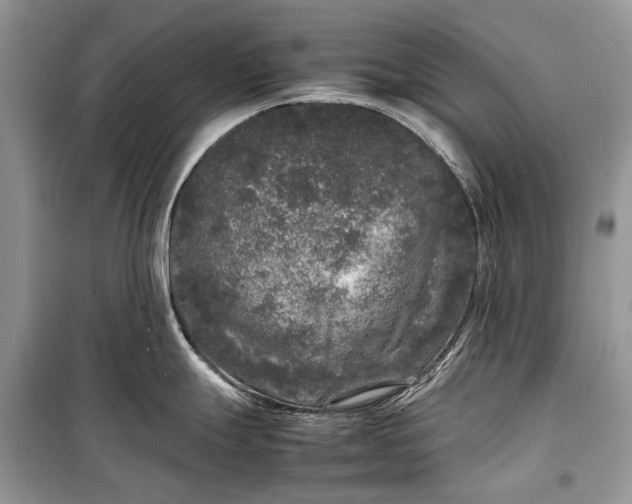 X0000099291247200805161318