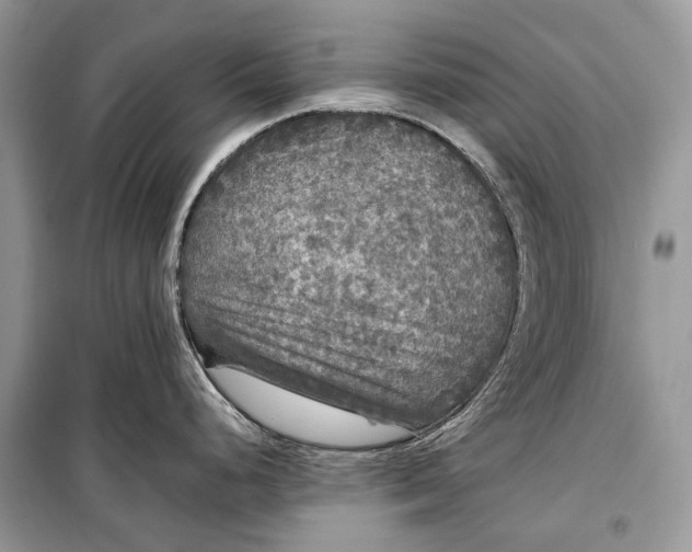 X0000099291248200805161318