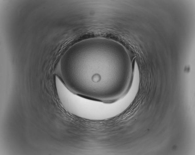 X0000099291249200805161317