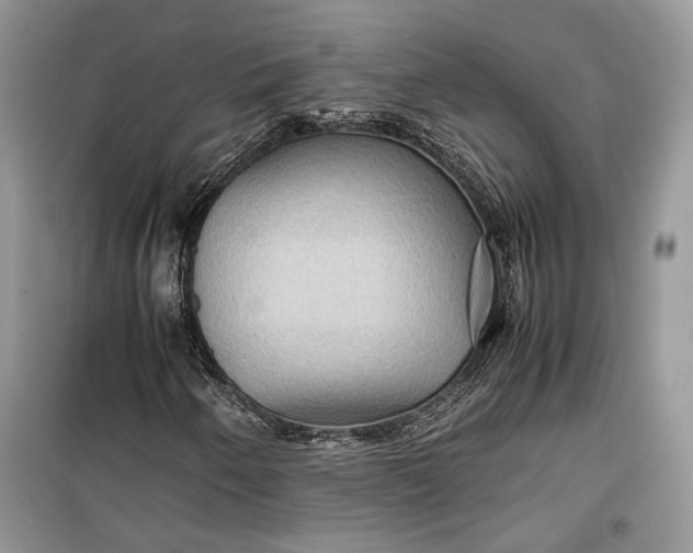 X0000099291250200805161317