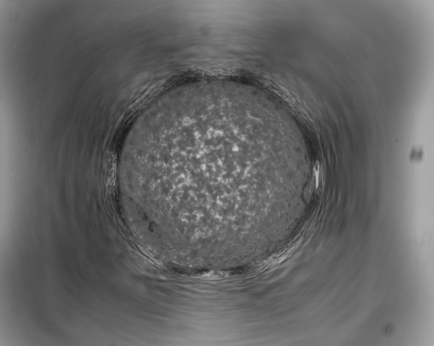 X0000099291251200805161317