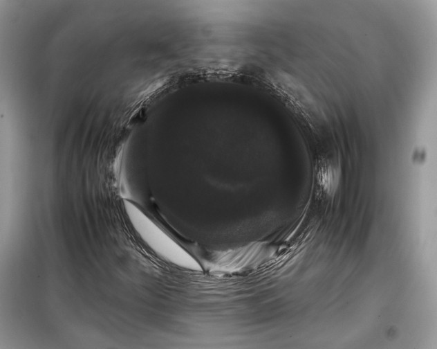 X0000099291252200805161317