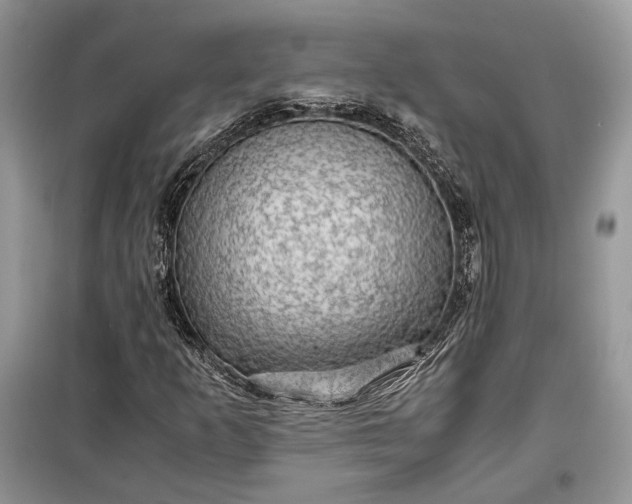 X0000099291253200805161317