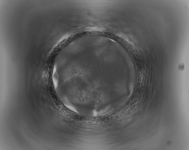 X0000099291254200805161317