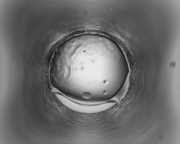 X0000099291255200805161317