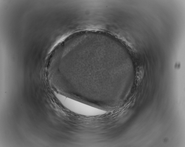 X0000099291256200805161317