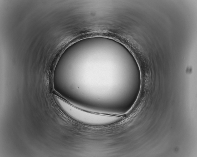 X0000099291257200805161317