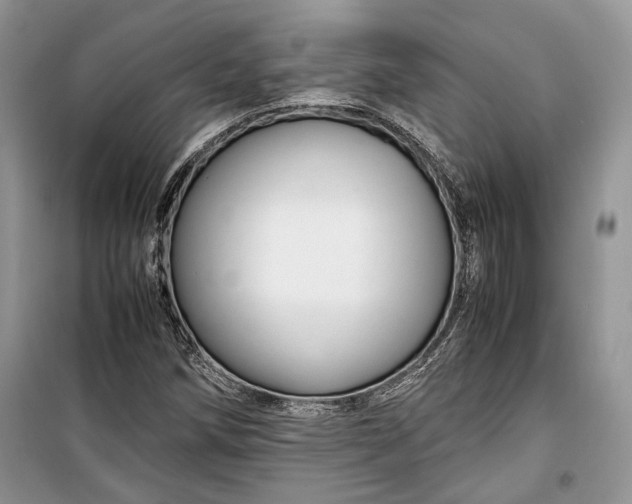 X0000099291258200805161317