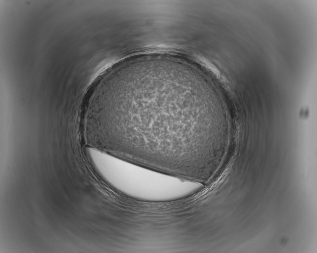 X0000099291259200805161317