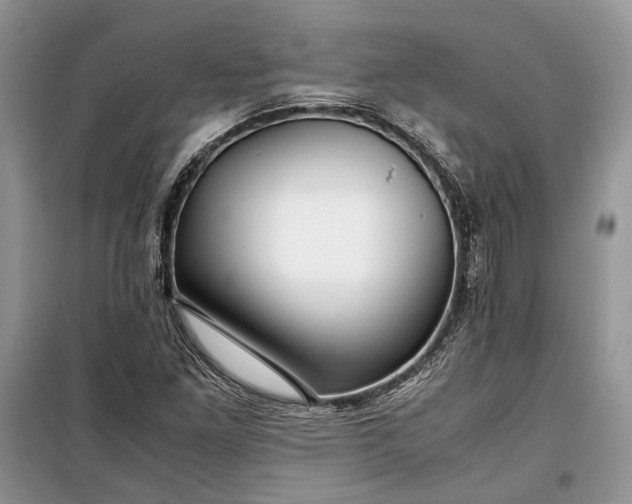 X0000099291261200805161317