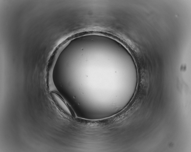 X0000099291264200805161317