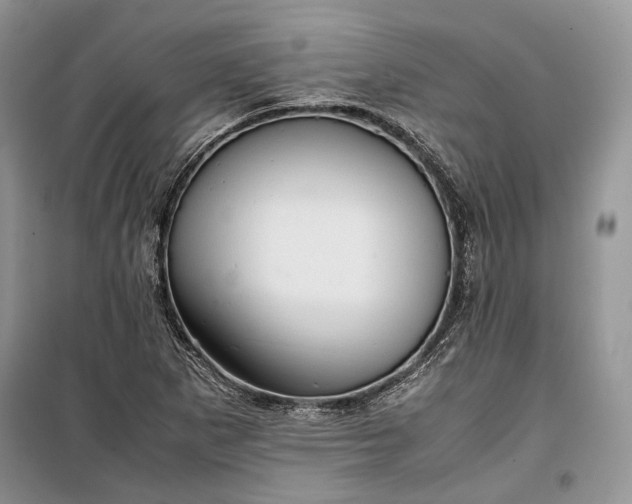 X0000099291265200805161317