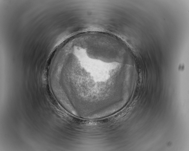 X0000099291266200805161317