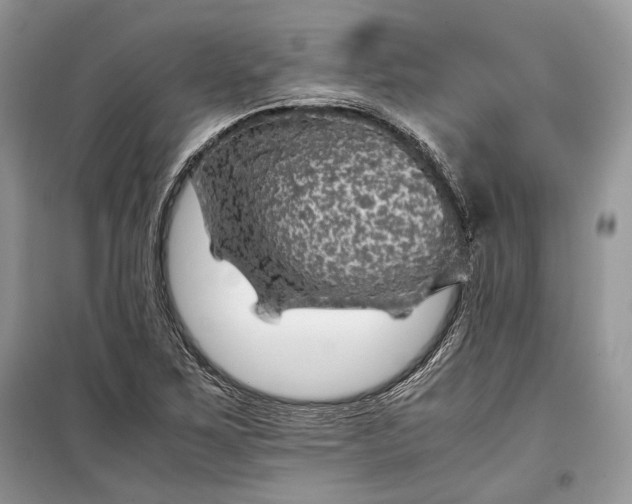 X0000099291267200805161317