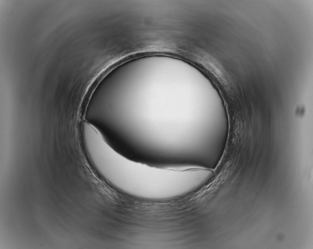 X0000099291268200805161317