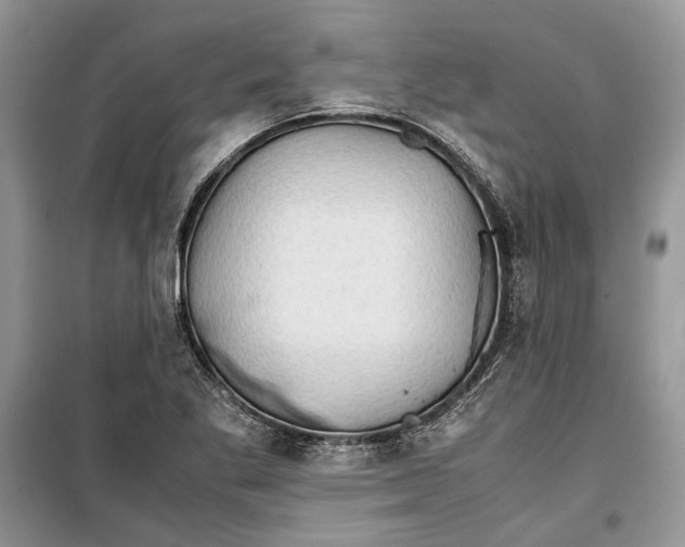 X0000099291269200805161317