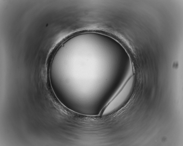 X0000099291270200805161317