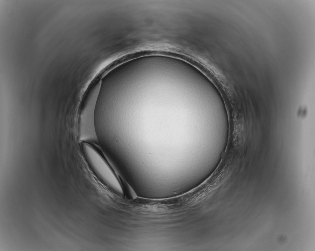 X0000099291272200805161317