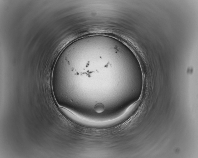 X0000099291273200805161317