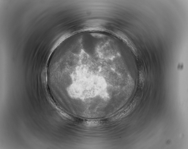 X0000099291274200805161317