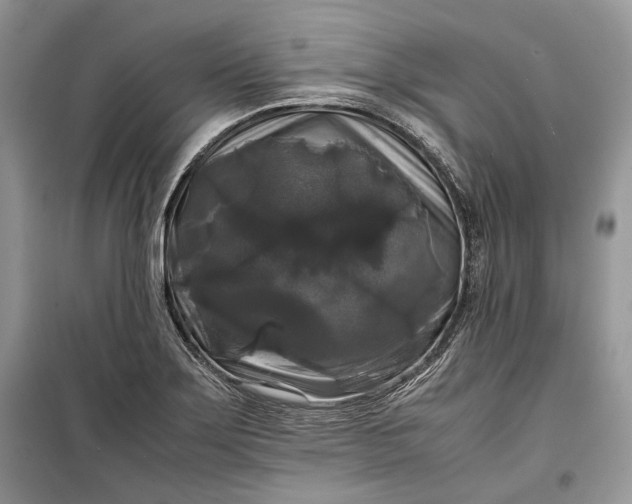 X0000099291275200805161317