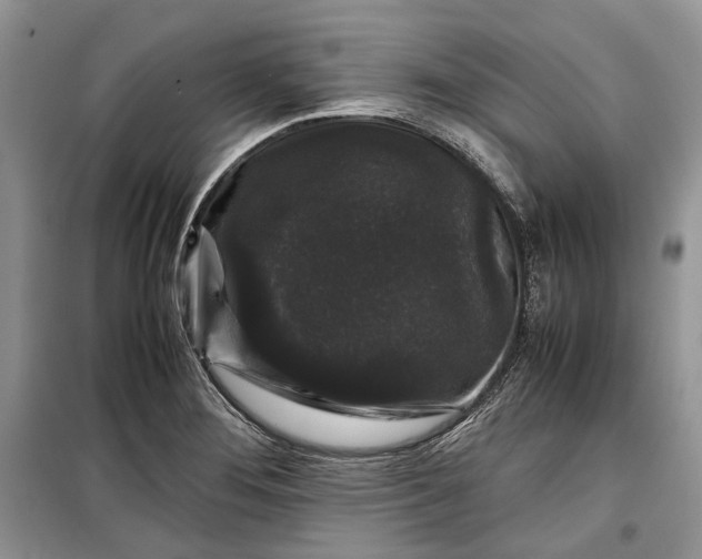 X0000099291276200805161317