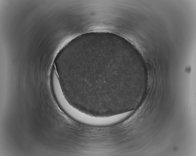 X0000099291277200805161317