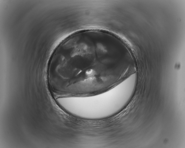 X0000099291279200805161316