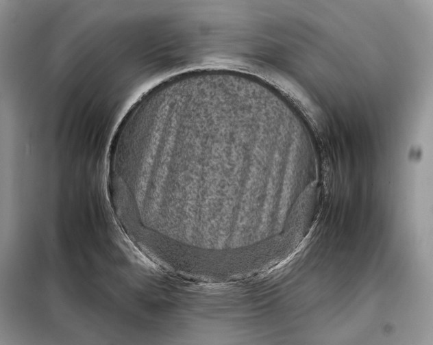 X0000099291280200805161316