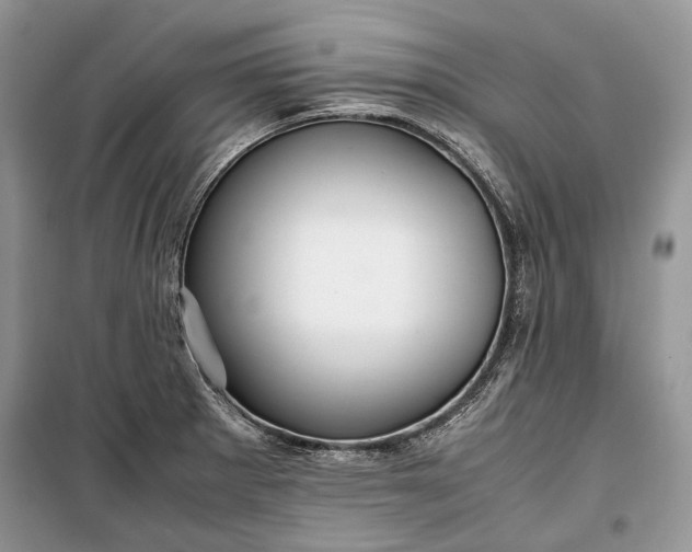 X0000099291281200805161316