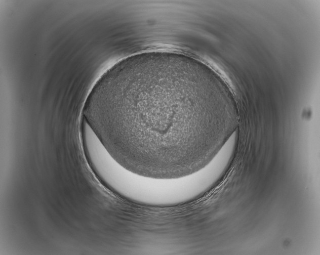 X0000099291283200805161316