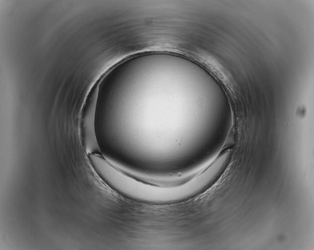 X0000099291284200805161316