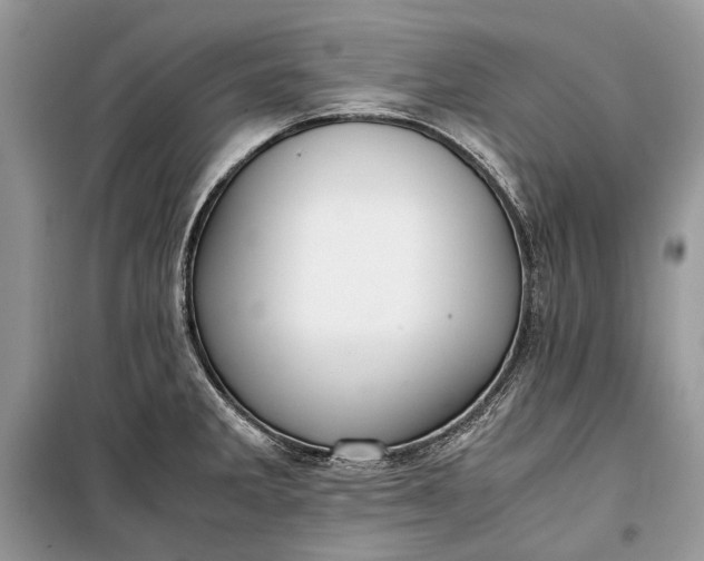 X0000099291285200805161316