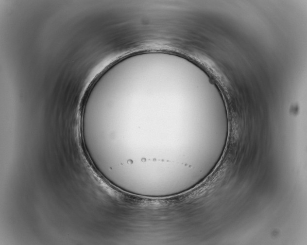 X0000099291286200805161316