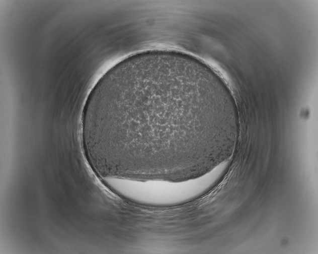 X0000099291287200805161316