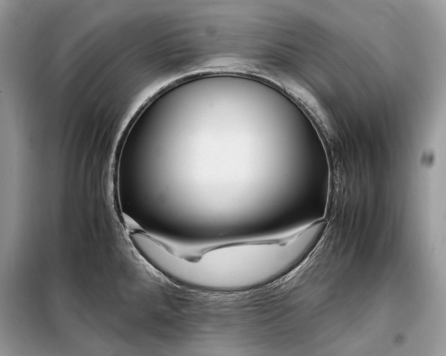 X0000099291288200805161316