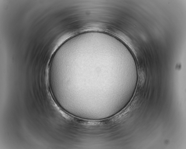 X0000099291290200805161316