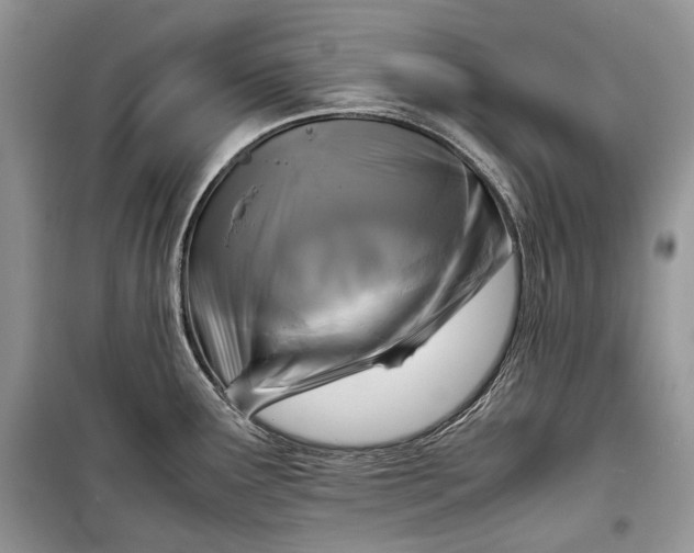 X0000099291291200805161316