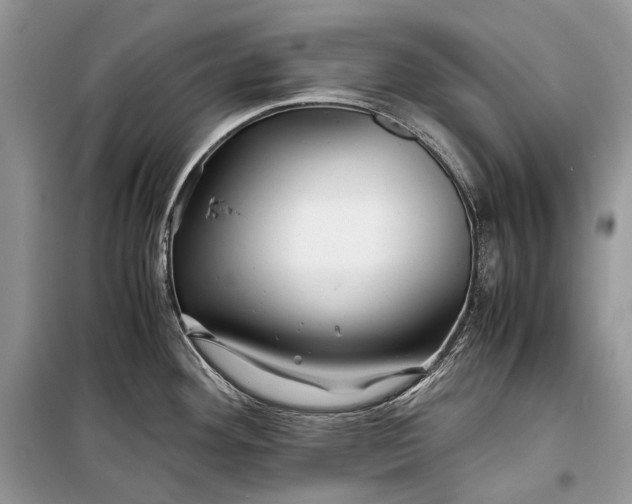 X0000099291292200805161316