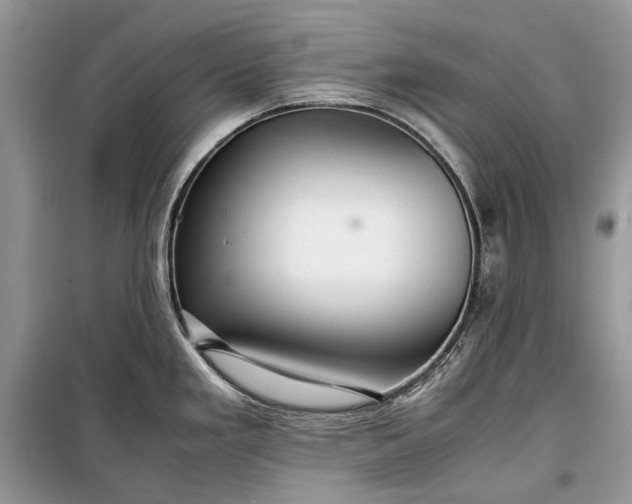 X0000099291293200805161316