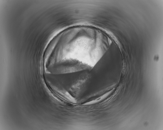 X0000099291295200805161316